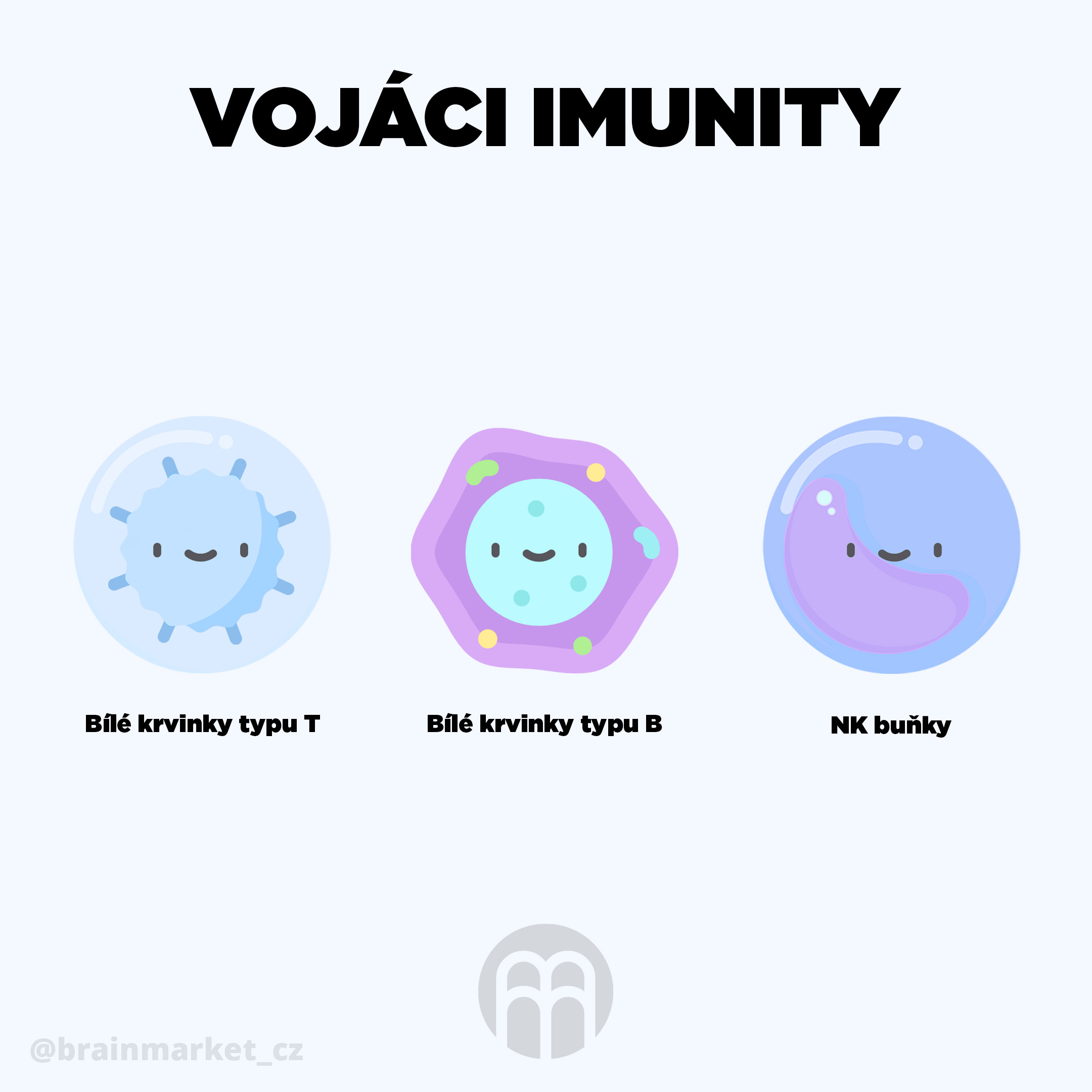 vojaci imunity infografika brainmarket cz